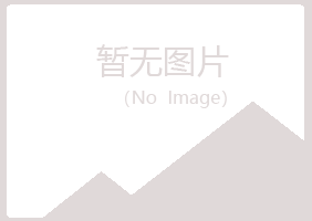 阳山县字迹房地产有限公司